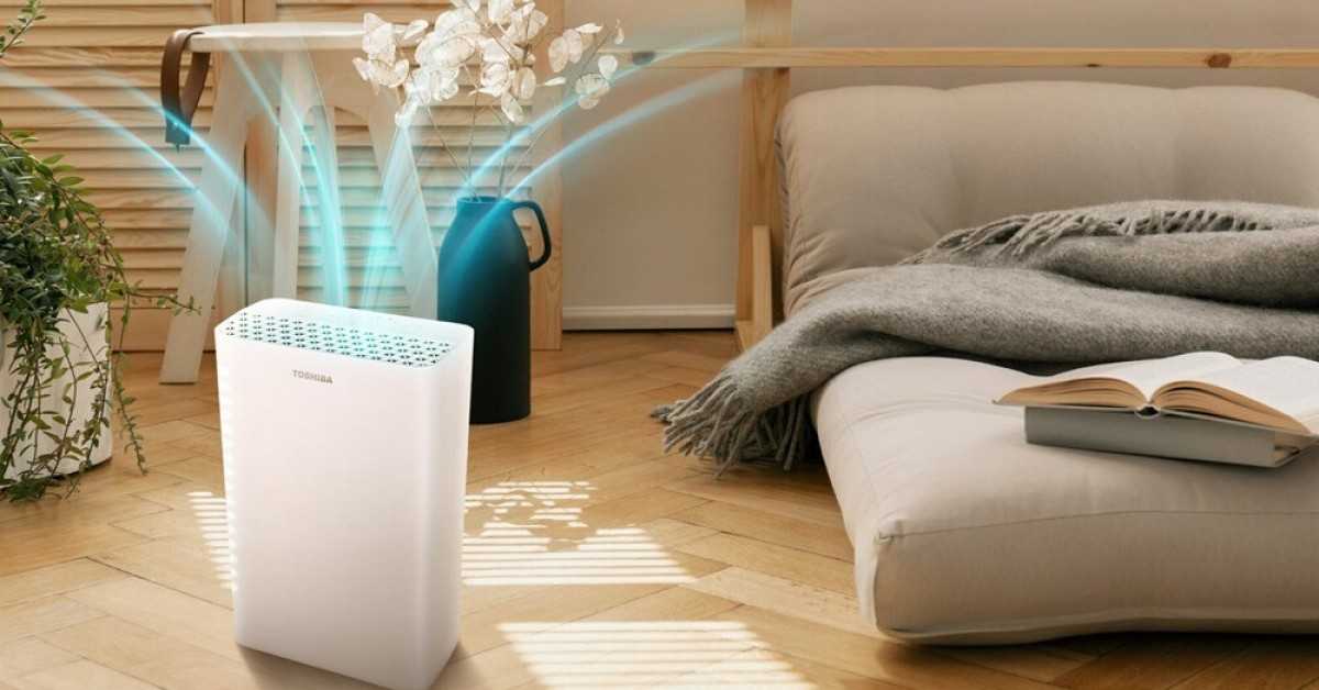 Ионизатор воздуха для квартиры: как выбрать, советы и рекомендации по подбору, обзор лучших моделей, их плюсы и минусы