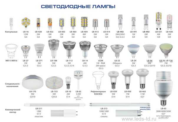 Какие бывают виды ламп: их названия и характеристики