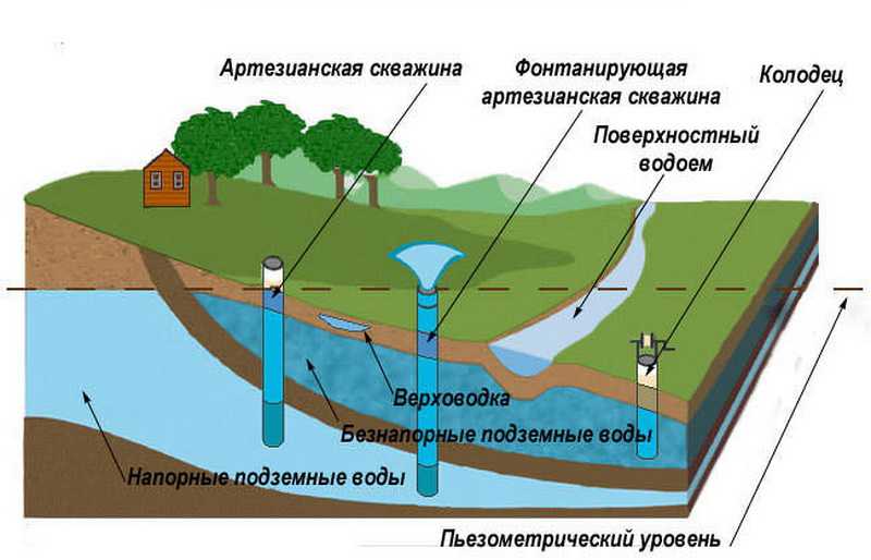 Как найти воду на участке для колодца: 3 народные способы