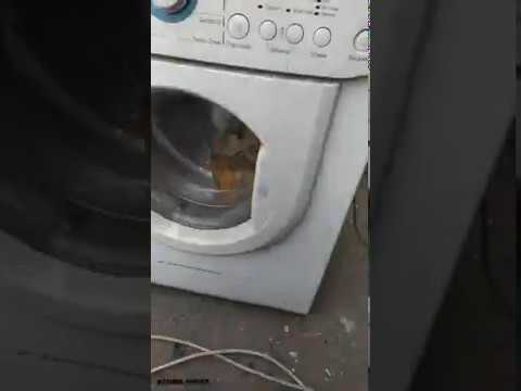 Почему стиральная машина гудит при стирке?