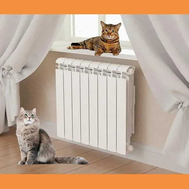 Какие радиаторы отопления лучше ставить в квартире
