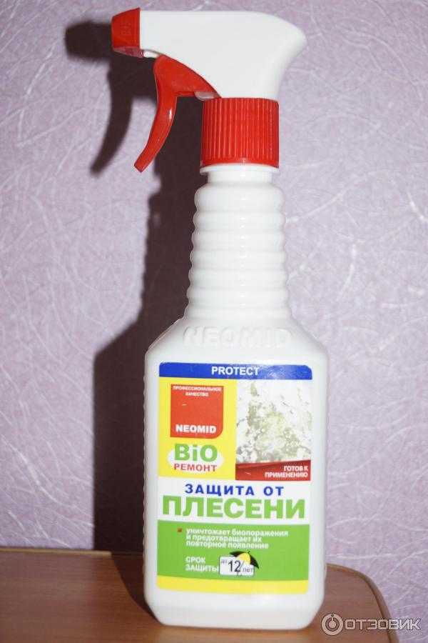 Лучшее средство для антигрибковой обработки против плесени и грибка на стенах в квартире: антисептик, жидкость или сухие препараты