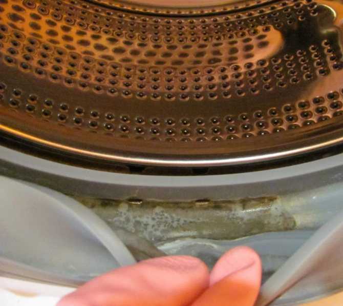 Методы эффективного удаления плесни в стиральной машине
