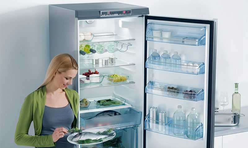 Рейтинг холодильников ноу фрост