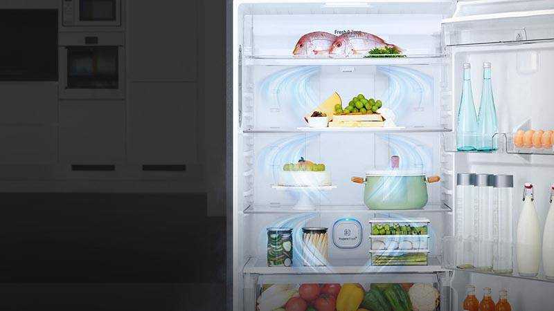Как выбрать лучший холодильник “ноу фрост”: 15 лучших моделей + советы покупателям