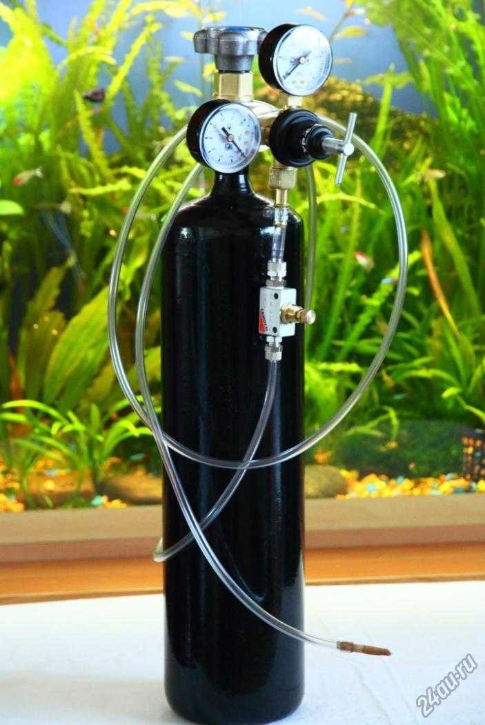 Со2 для аквариума. углекислый газ и водородный показатель (рн) воды.