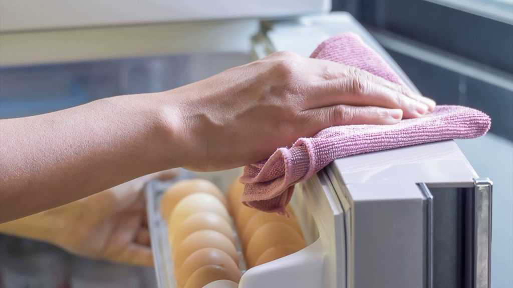 Как избавиться от запаха в холодильнике после тухлого мяса