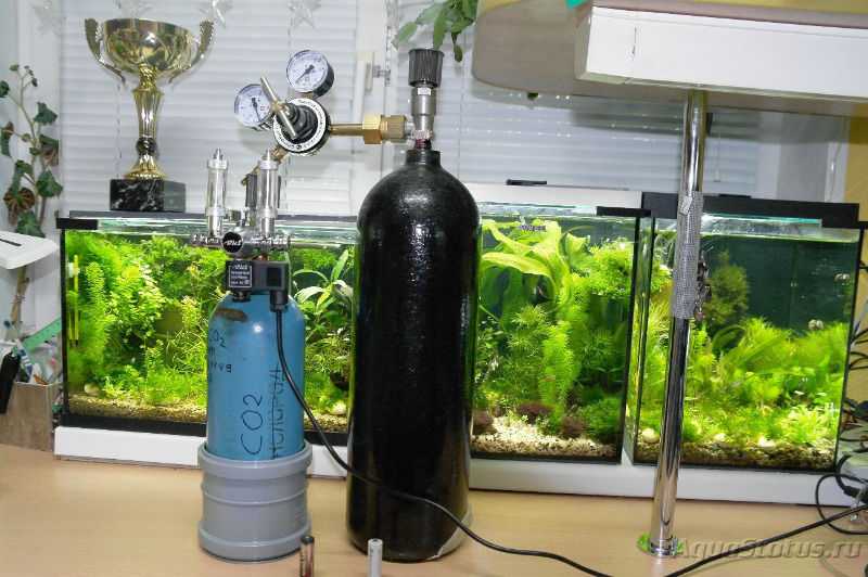 Подача со2 в аквариум: как сделать простой генератор своими руками и правильно воспользоваться реактивами