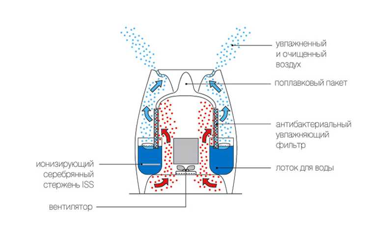 Как работает увлажнитель воздуха: ультразвуковой, распылительный