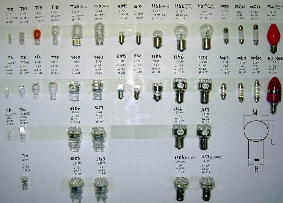 Виды лампочек и типы цоколей - какие бывают цоколи у ламп | стройсоветы