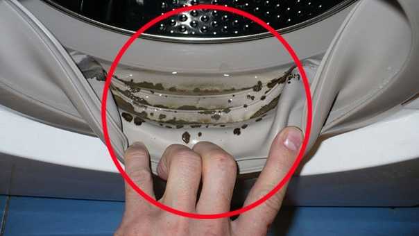 Плесень в стиральной машине: как избавиться, средства для очистки от затхлого запаха, грязи, черного грибка и налета