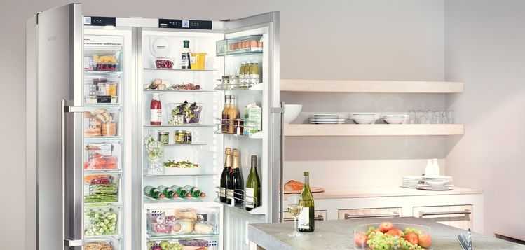 Лучшие холодильники премиум-класса с достоинствами и недостатками