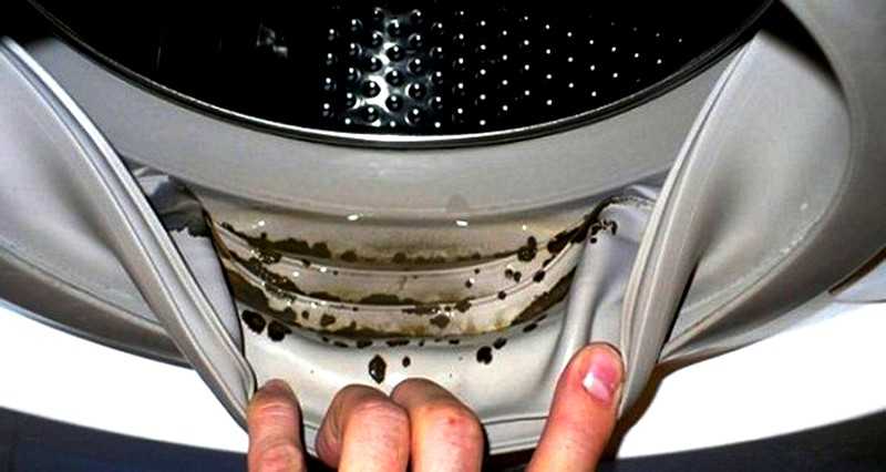 Как устранить запах в стиральной машине автомат: советы как избавиться от запаха