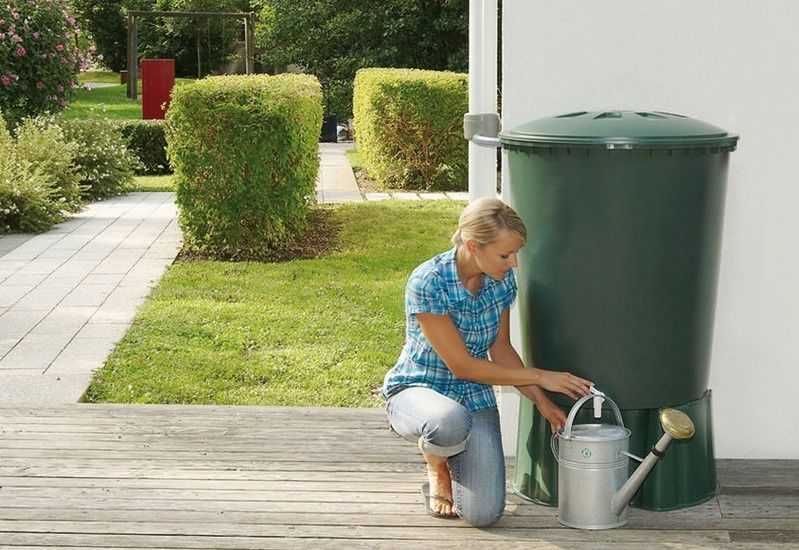 Лучший способ сбора дождевой воды для полива огорода