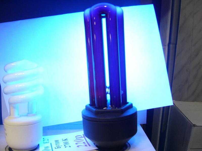 Кварцевая и бактерицидная ультрафиолетовая лампа для дома: основы выбора. поможет ли лампа от коронавируса?