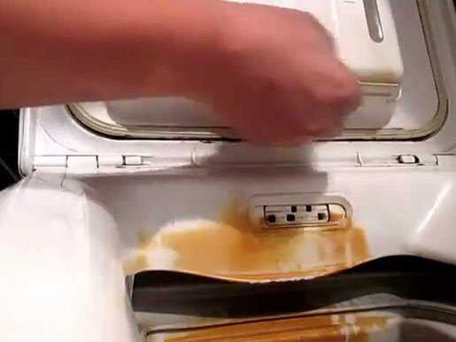 Какими средствами убрать плесень в стиральной машине