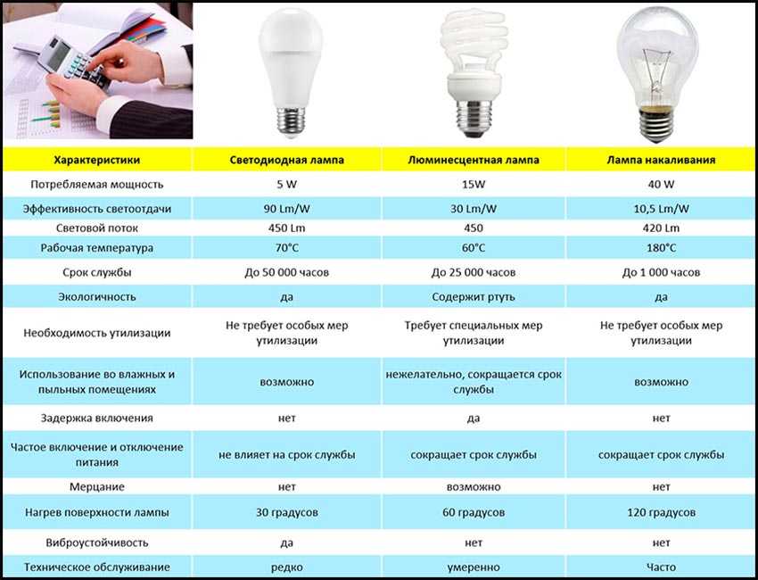 Виды ламп по типу, размеру цоколей, мощности, назначению, особенностям применения