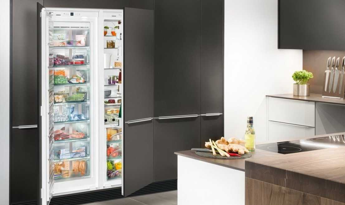 Топ-10 лучших холодильников siemens