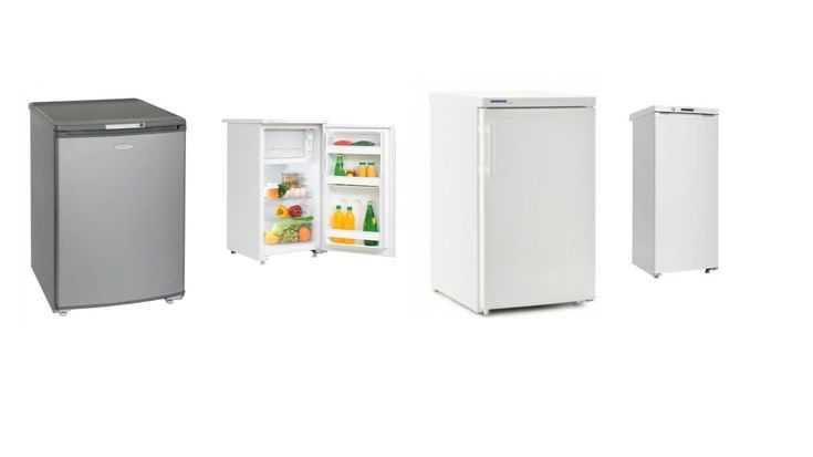 10 лучших холодильников без морозильной камеры — рейтинг популярных моделей