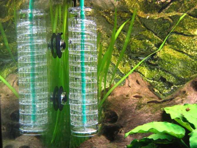 Со2 для аквариума. углекислый газ и водородный показатель (рн) воды. | аквариумок