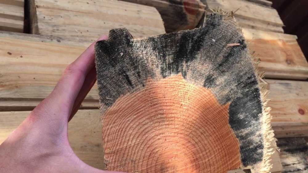 Как убрать плесень с деревянных поверхностей