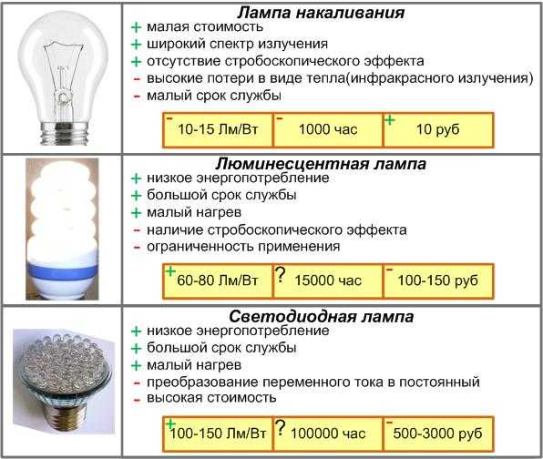 Какие лампочки выбрать для дома: самые яркие и экономичные