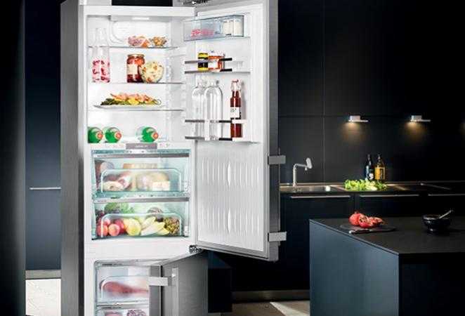 6 лучших холодильников beko