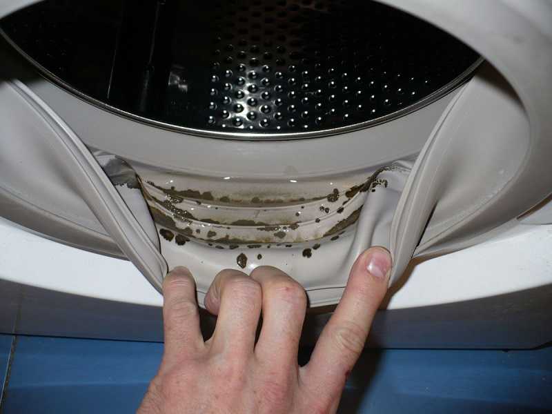 Как убрать запах плесени из стиральной машины