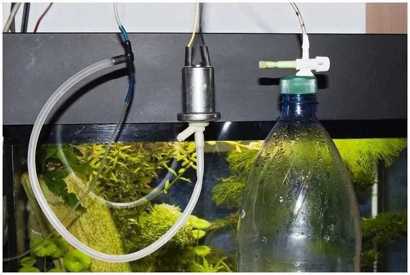 Со2 в аквариуме. роль углекислого газа и методы его подачи в аквариум