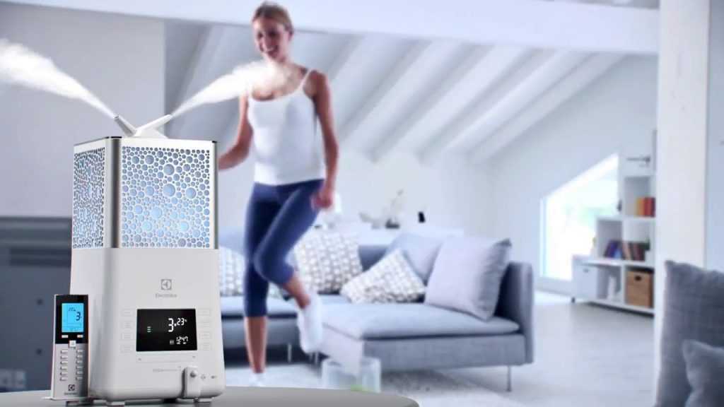 Увлажнитель воздуха с ионизатором для дома: разновидности, как выбрать