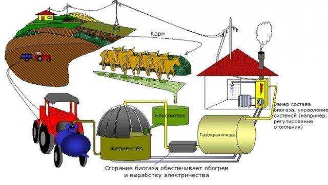 Получаем биогаз своими руками