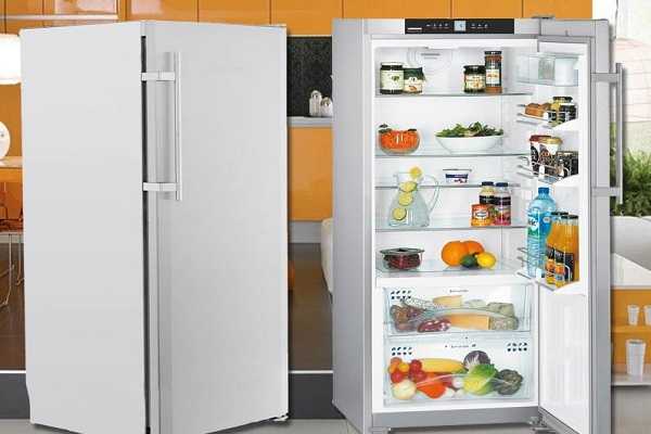 Топ-10 холодильников без морозильной камеры: рейтинг лучших моделей