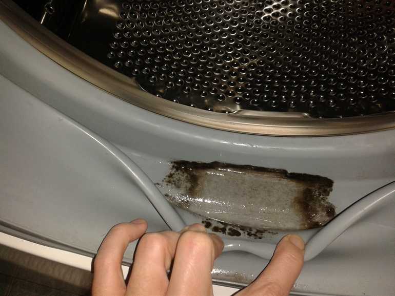 Запаха плесени в стиральной машине: как избавиться, чем вывести грибок