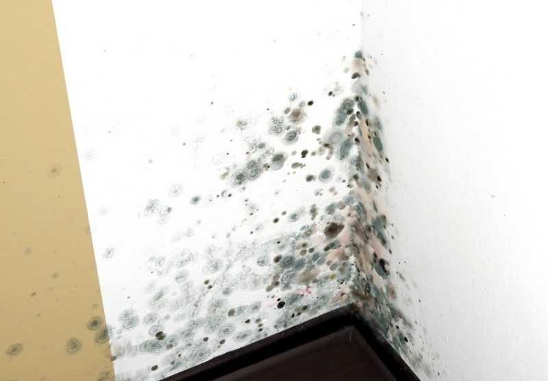 Как избавиться от влажности в квартире: действенные способы понижения влажности в жилом помещении